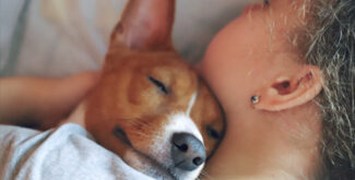 A picture of a dog cuddling with a pet sitter, pet sitting prices
